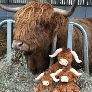 HORNED HIGHLAND COW - 23 CM