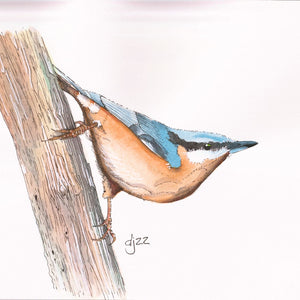 "NUTHATCH" A4 ORIGINAL WATERCOLOUR