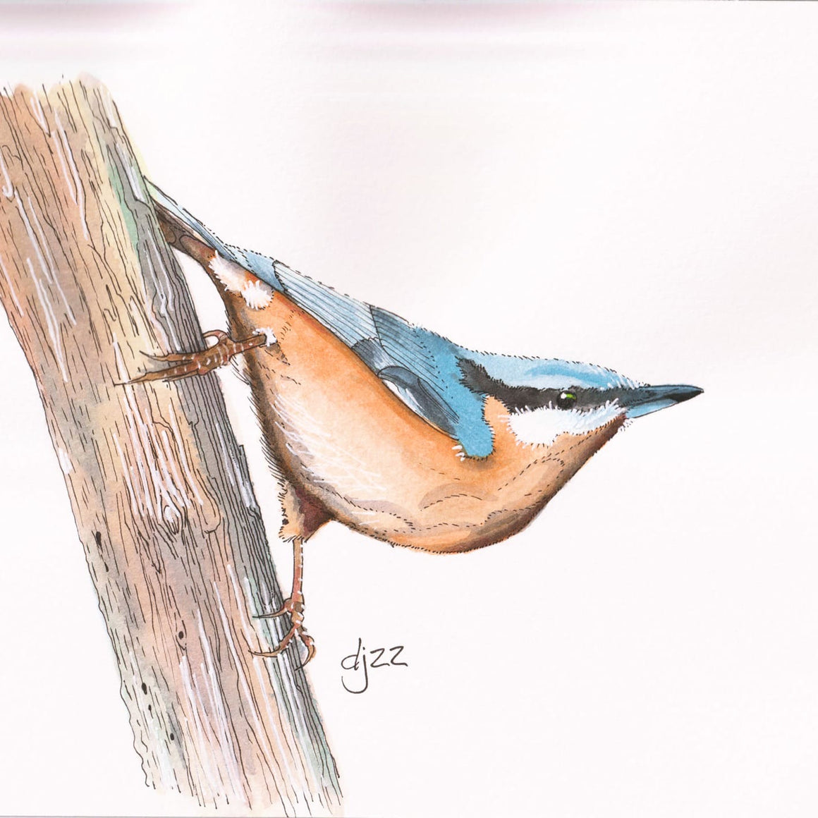 "NUTHATCH" A4 ORIGINAL WATERCOLOUR