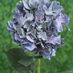 ARTIFICIAL DUSKY BLUE MEDIUM HYDRANGEA SHORT STEM