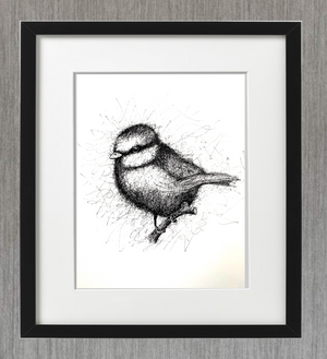 BLUE TIT -  PEN & INK - LIMITED EDITION PRINT