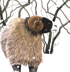 SWALE RAM GREETINGS CARD