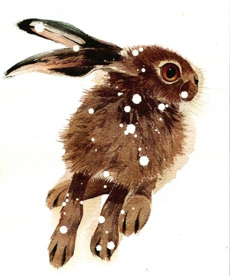 ANXIOUS LEVERET GREETINGS CARD