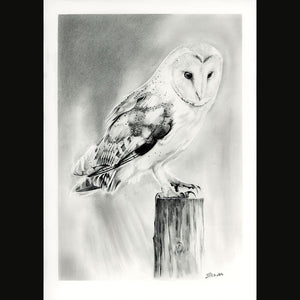 BARN OWL LIMITED EDITION PRINT -(20)