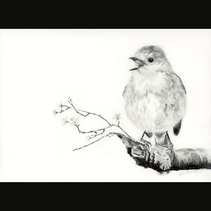 "GOOD MORNING SPRING" LIMITED EDITION PENCIL DRAWING