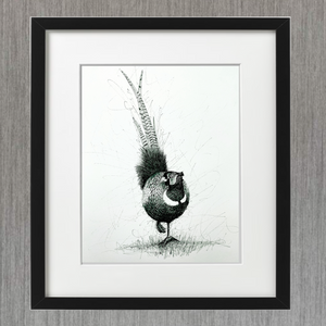 PHEASANT PEN & INK - LIMITED EDITION PRINT