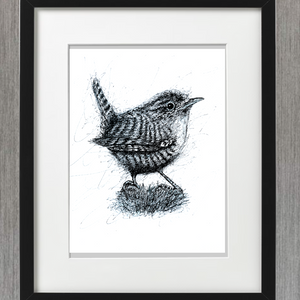 WREN PEN & INK - LIMITED EDITION PRINT