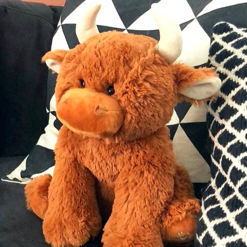 HIGHLAND COW PLUSH BABY TOY - 30cm