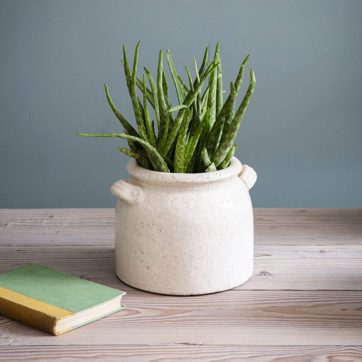 RAVELLO POT WITH HANDLES