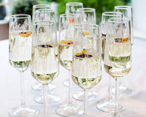 MEADOW CHAMPAGNE FLUTES