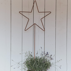 THE LARGE METAL STAR WITH STAKE